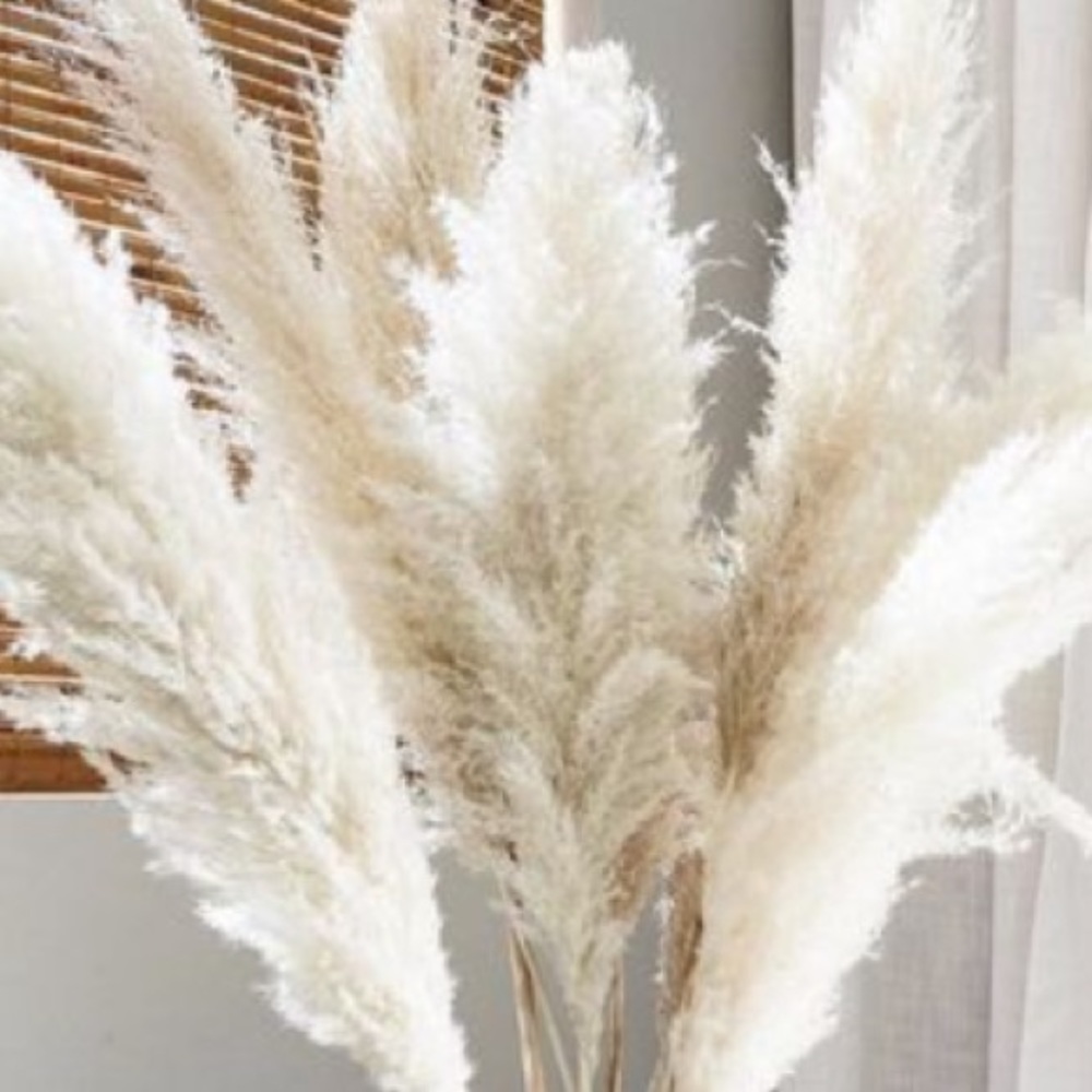 Meet your Posher, Olga